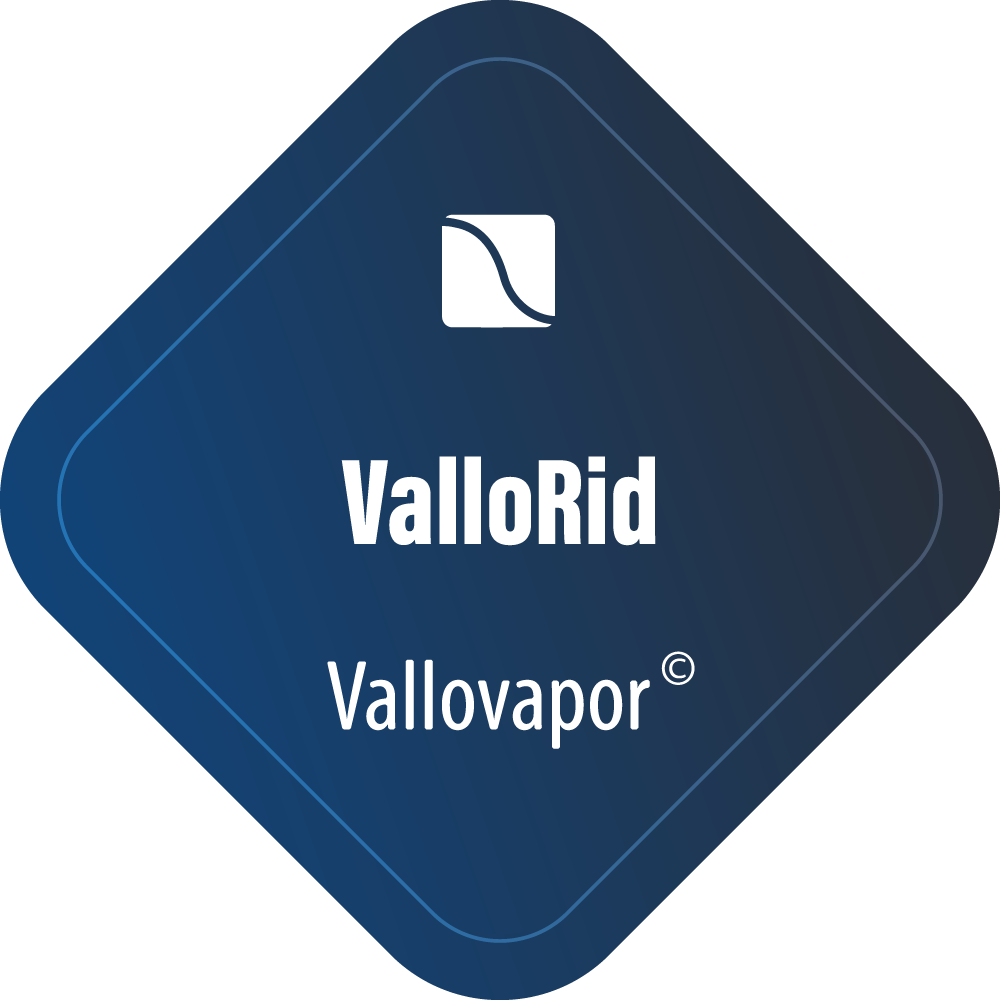 Vallovapor GmbH