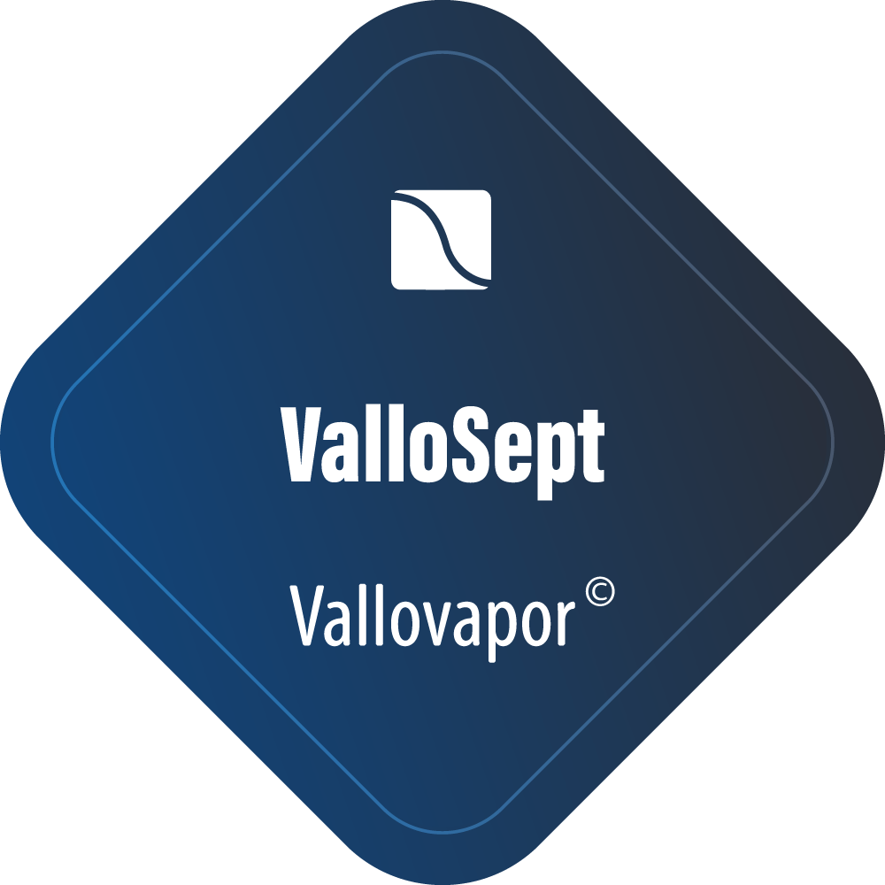 Vallovapor GmbH